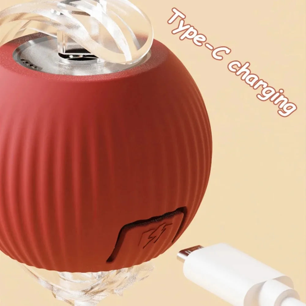 New Cat Interactive Ball Toy 