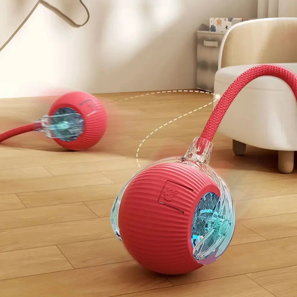 New Cat Interactive Ball Toy 