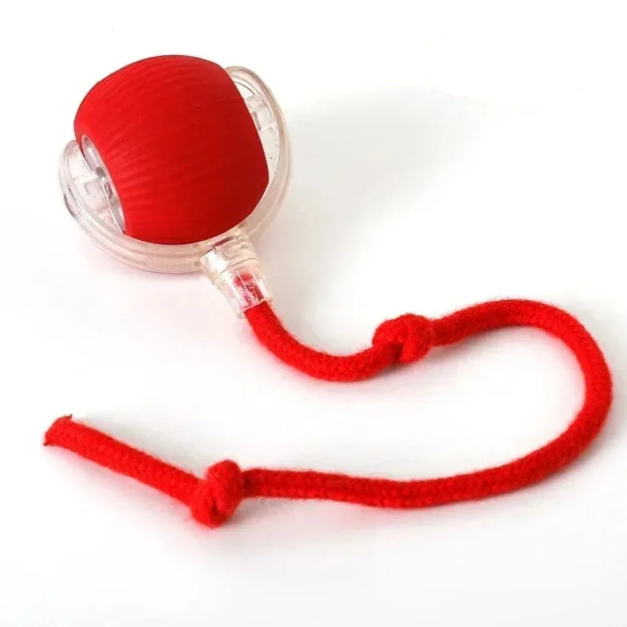 New Cat Interactive Ball Toy 