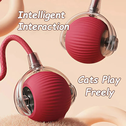 New Cat Interactive Ball Toy 