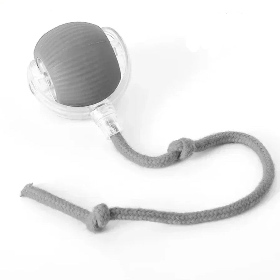 New Cat Interactive Ball Toy 