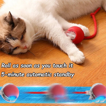 New Cat Interactive Ball Toy 
