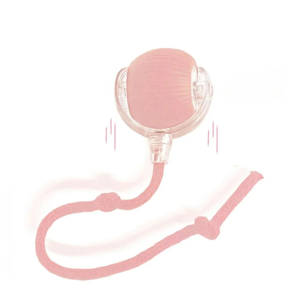 New Cat Interactive Ball Toy 