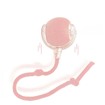 New Cat Interactive Ball Toy 