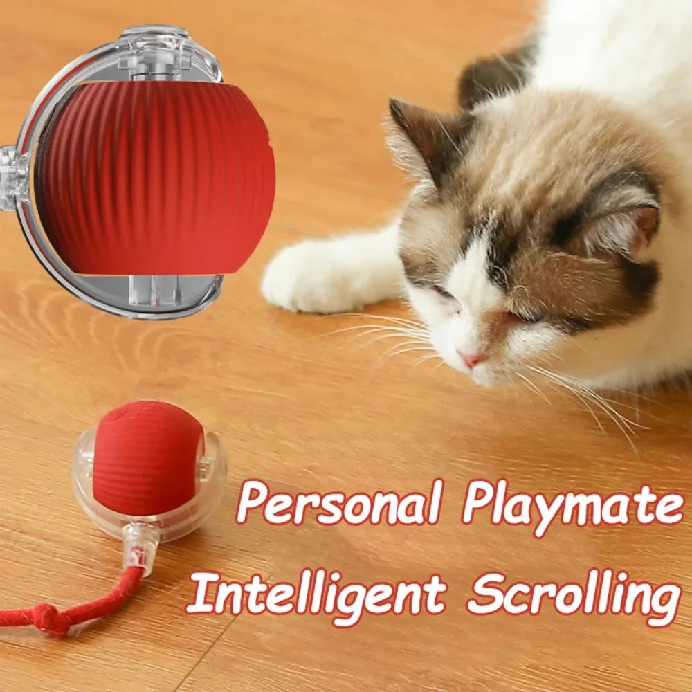 New Cat Interactive Ball Toy 